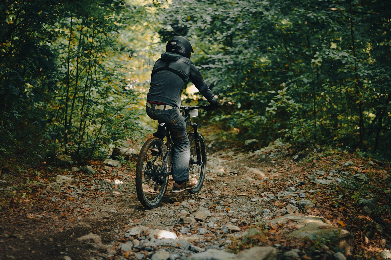 Squamish mountain bike trail conditions forest