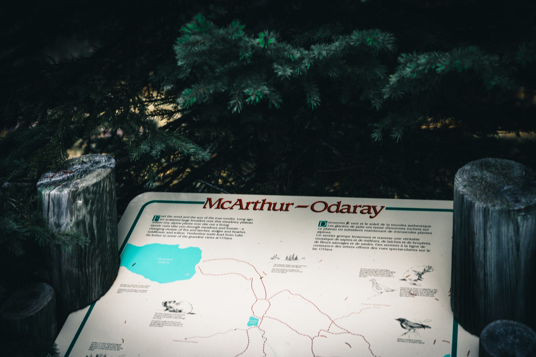 trail conditions sign at forest trailhead