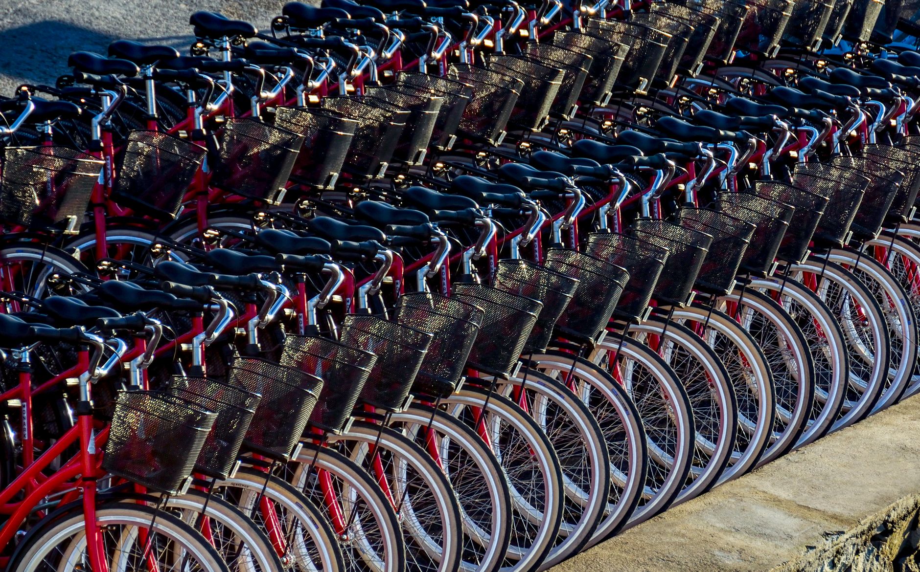 rental mountain bikes lined up near trailhead